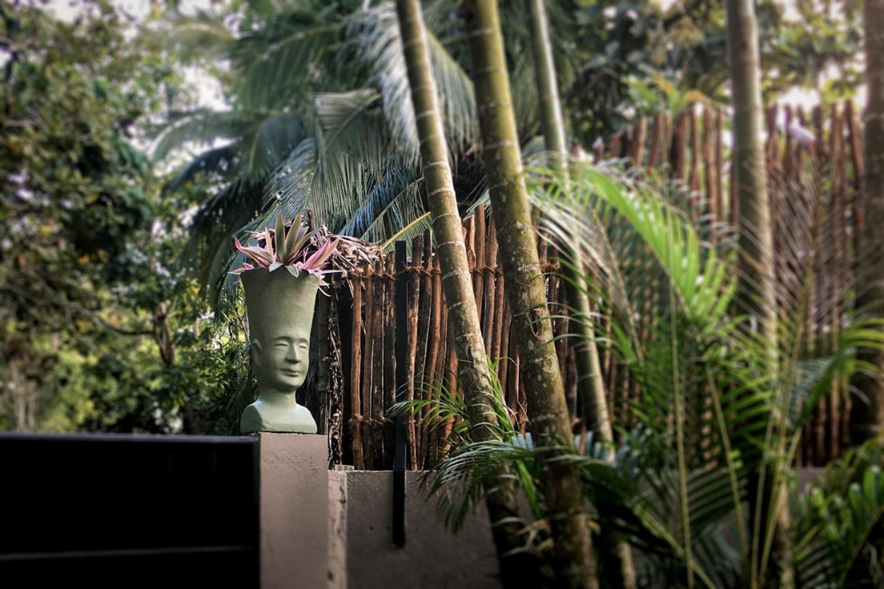 Casa Vana Hiriketiya Dikwella Exteriér fotografie